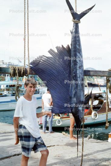 boy, teen, teenager, Sailfish, Baja California, Mexico, fish catch, 1970s