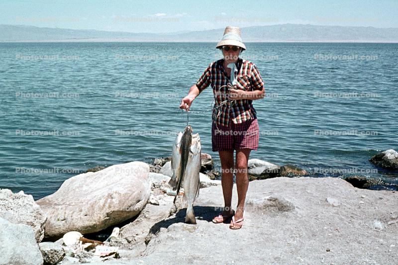 fisherwomen, woman, fish catch, Salton Sea, California