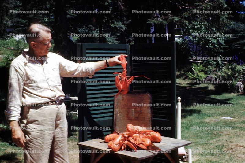 lobster catch, man, male, Pemaquid, Maine, USA