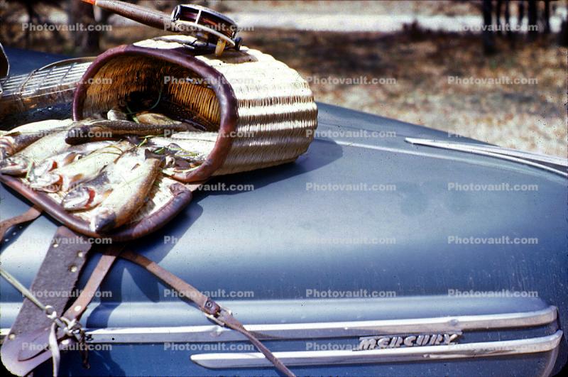 basket, fish catch, Mercury Car, Wisconsin, 1950s