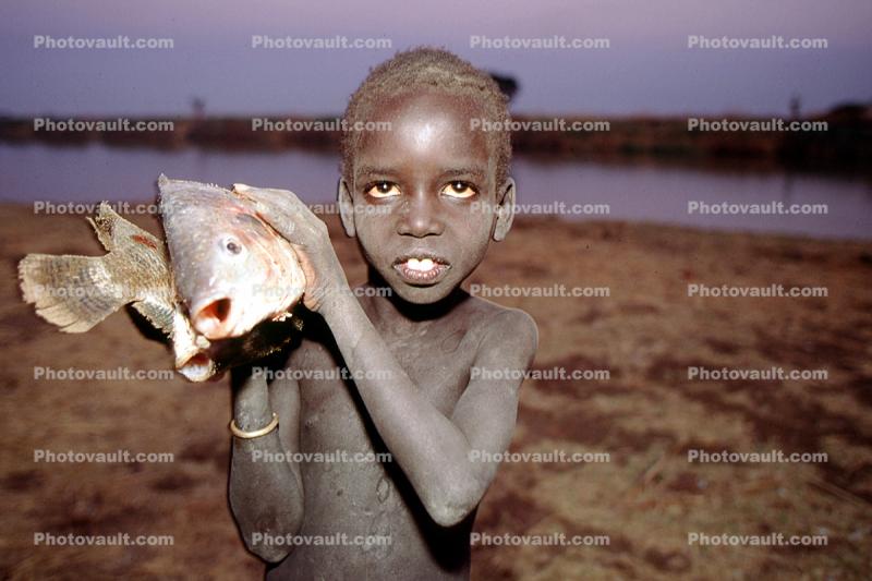 Boy with fish, Africa, fish catch