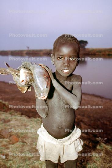 Boy with fish, Africa, fish catch