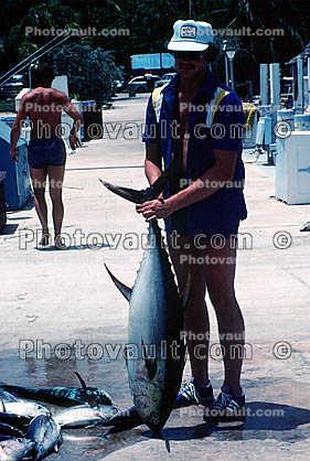 Tuna, Dock, fish catch
