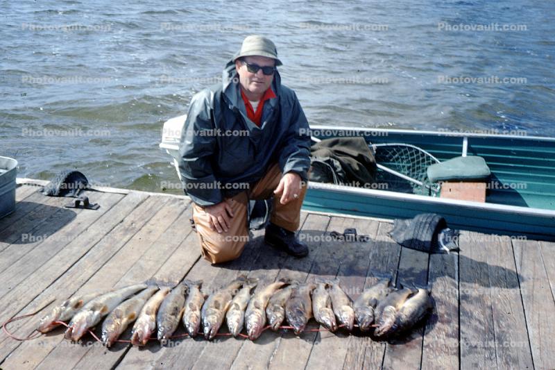 fish, fisherman, dock, lake, water, fish catch, man, male, Manitoba, Canada, 1970, 1970s