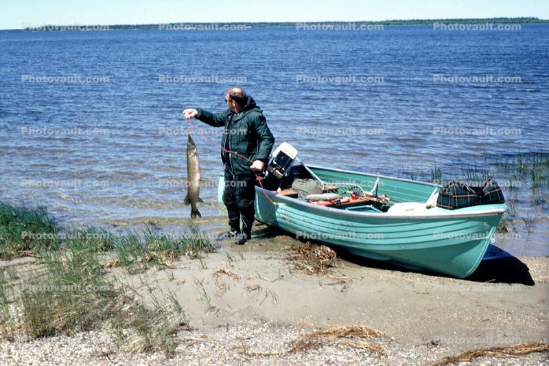 Pike, Fish, beach, sand, sandy, Lake, Manitoba, Canada, 1970, 1970s