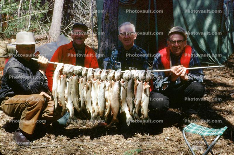 fish catch, fishermen, trout, 1967, 1960s