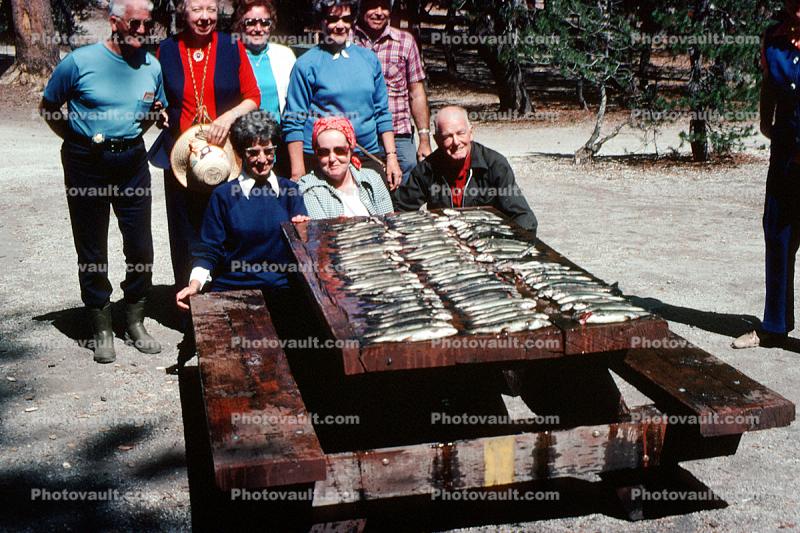 fish catch, fishing poles, men, women, picnic table, 1976, 1970s
