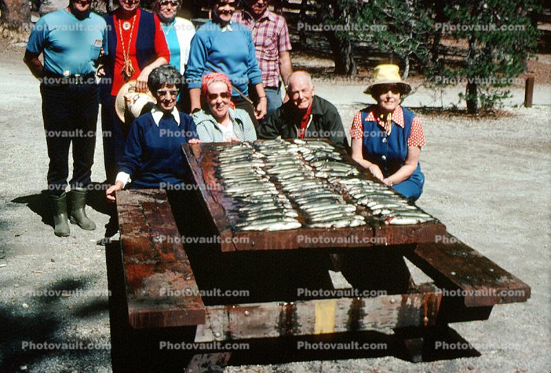 fish catch, fishing poles, men, women, picnic table, 1976, 1970s