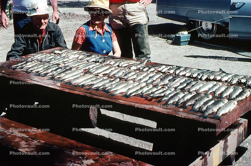 fish catch, men, women, 1976, 1970s