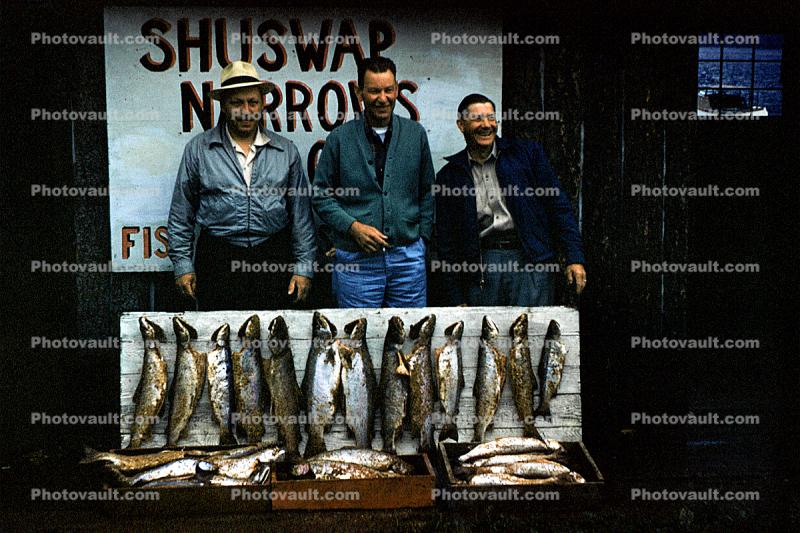 Fish catch, Shuswar Narrows, Cinnemousun Narrows Provincial Park, British Columbia, 1950s