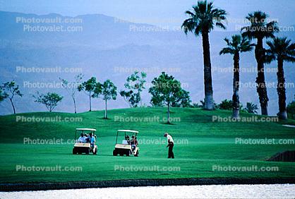Palm Springs, Golf Carts, palm trees