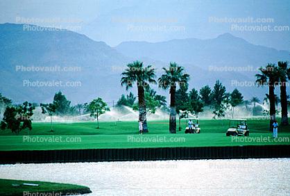 Palm Trees, sprinklers, lawn, golf carts, Palm Springs