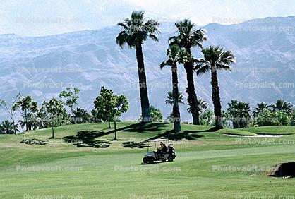 Golf Cart, mountains, Palm Trees, Palm Springs