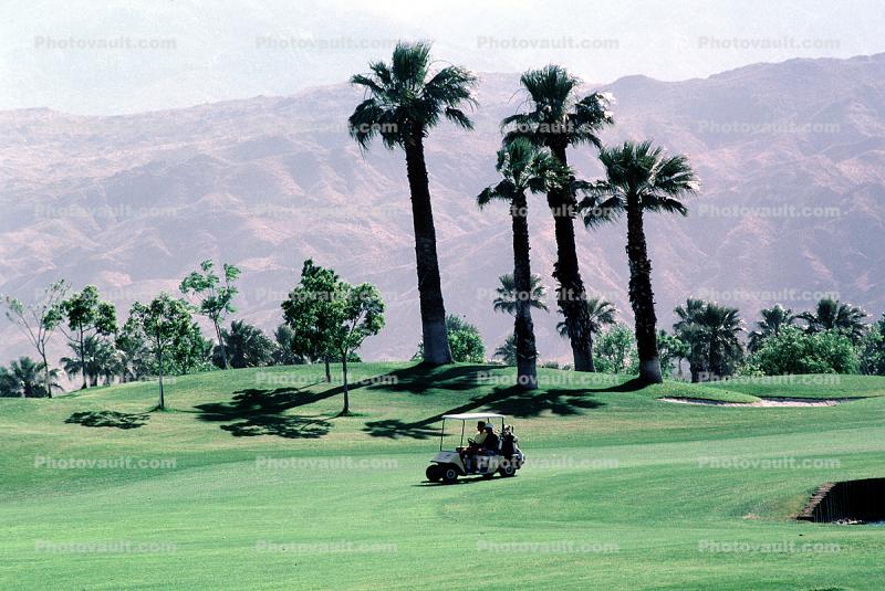 Golf Cart, Palm Trees, mountains
