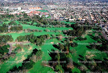 Golf Course, trees, green, Sacramento, California