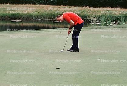 putting green, Man, Putting, Golfer, Golf Course in Blaine, Washington State