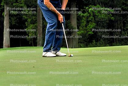 putting green, Man, Putting, Golfer, Golf Course in Blaine, Washington State