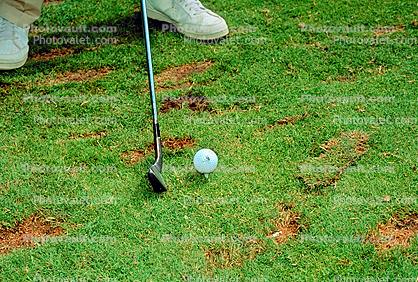 Man, Putting, Golfer, Golf Course in Blaine, Washington State