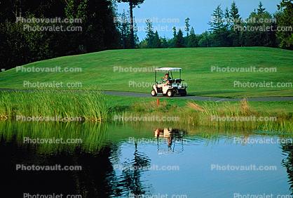 water hazard, golf cart, pond, lake