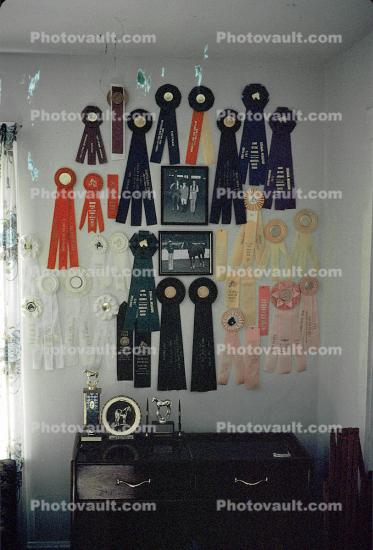 awards, ribbons, prize, trophy