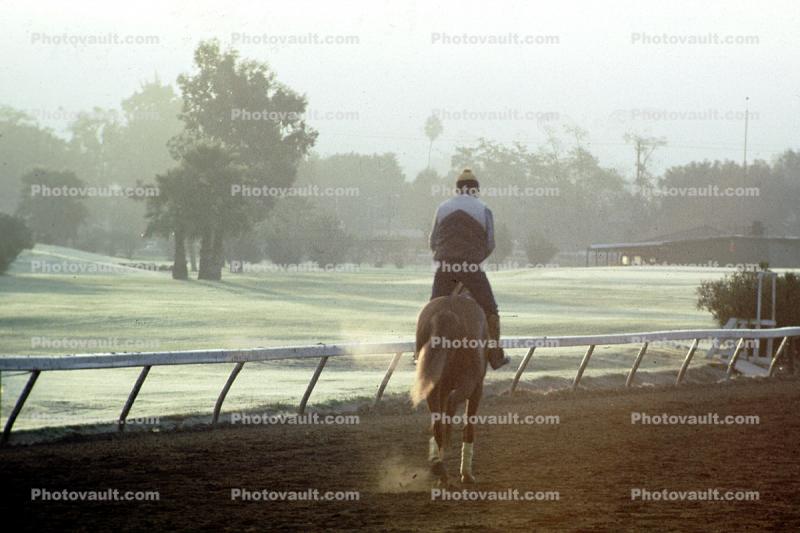 Early Morning Exercise, gallop
