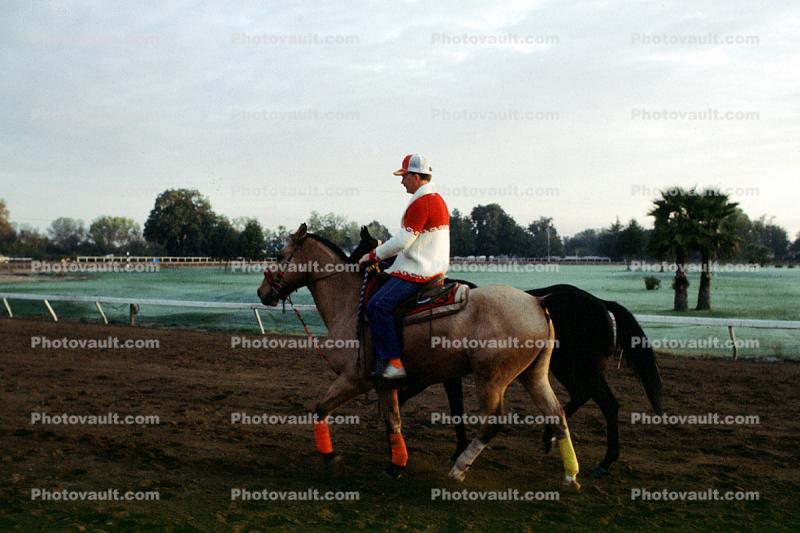 Early Morning Exercise, gallop