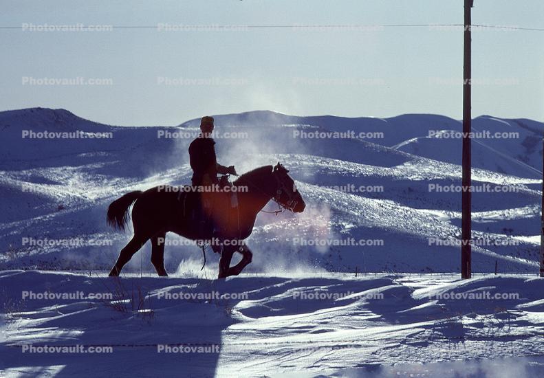 Horse Ride in the Early Morning Snow, Sun Valley