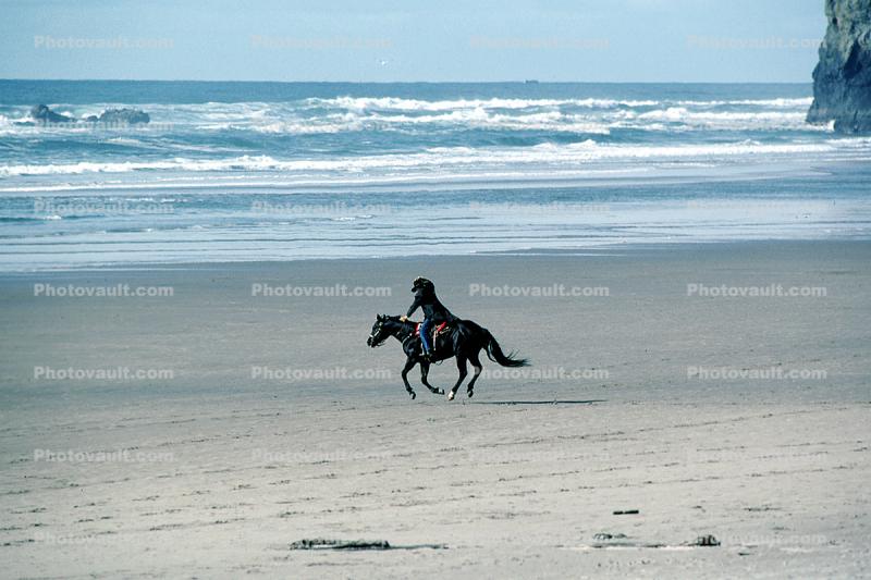 Pacific Ocean, Beach, Water, Sand, Galloping