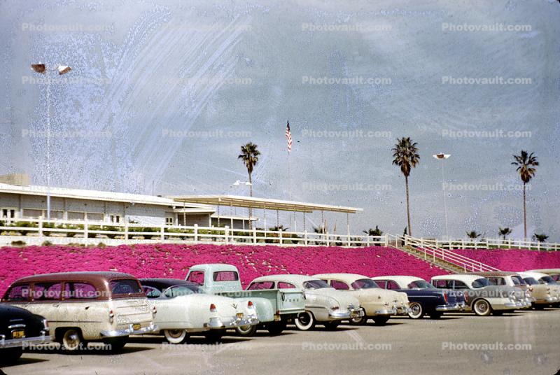 Cars, vehicles, 1950s