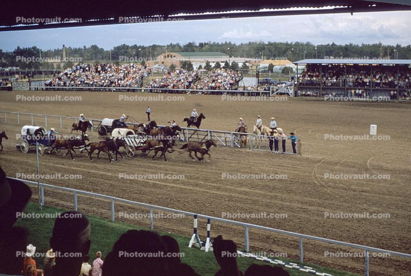Cowboys, Stands, Crowds, Spectators, Cheyenne Frontier Days during 1950s
