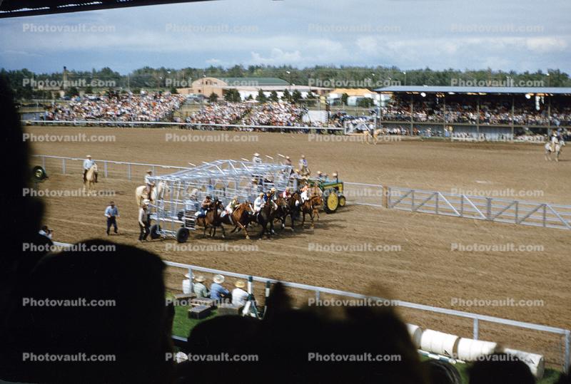 Stands, Crowds, Spectators, Cheyenne Frontier Days, 1950s