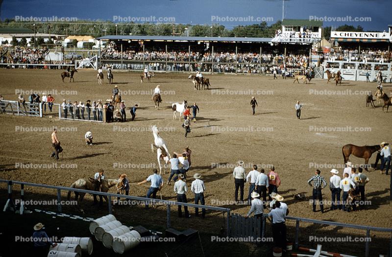 Stands, Crowds, Spectators, Cheyenne Frontier Days, 1950s