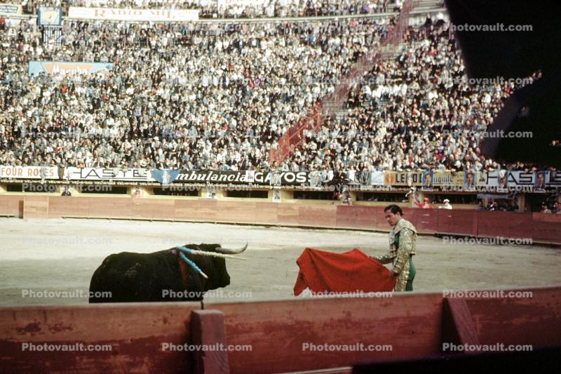 Bullring, Matador, Audience, Crowds, spears, horn, bull, Spectators, fans