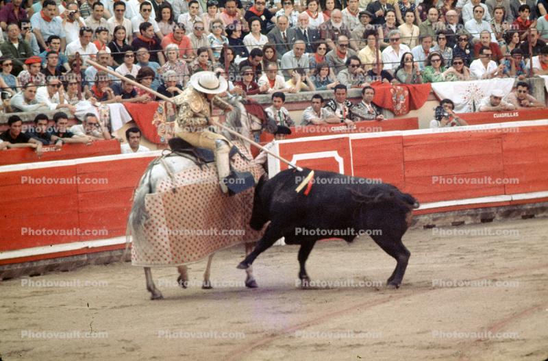 Bull, Matador
