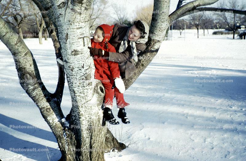 Mother and Daughter Laughing in a Tree, 1950s