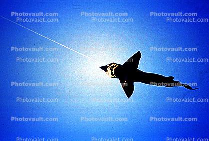 Shark, Flying a Kite, Blues Sky