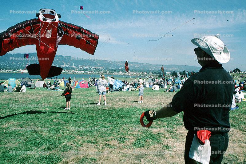 Airplane taking-off, Berkeley Kite Festival