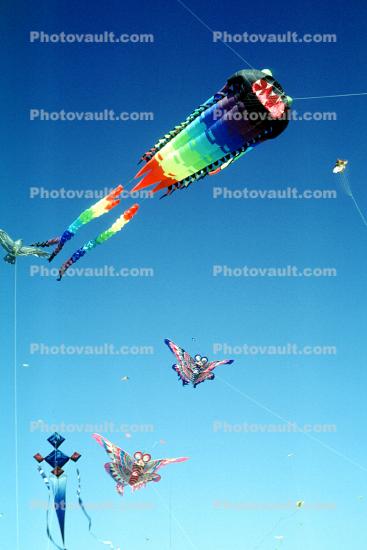 Dragon Kite, Butterfly Kite, Opening Day, Crissy Field, Celebration, May 6, 2001
