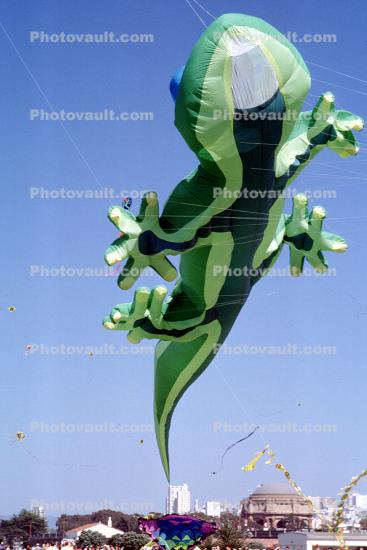 Alligator Kite, Lizard, Opening Day, Crissy Field, Celebration, May 6 , 2001