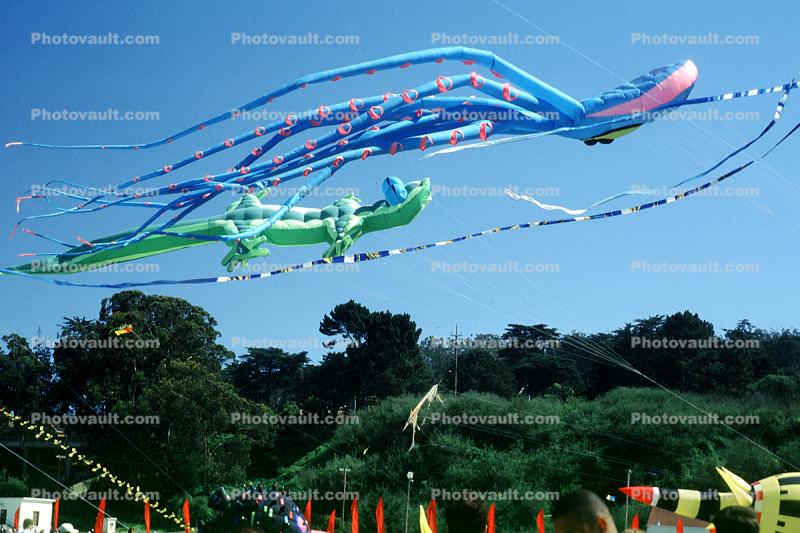 Wind, Flags, People, Crowds, Octopus Kite, Alligator Kite, Opening Day, Crissy Field, Celebration, May 6, 2001, Lizard