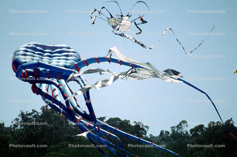 Giant Octopus Kite, Opening Day, Crissy Field, Celebration, May 6, 2001