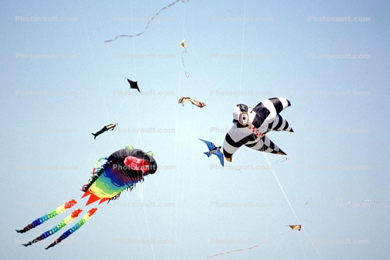 Dragon Kite, Spaceman, Opening Day, Crissy Field, Celebration, May 6, 2001