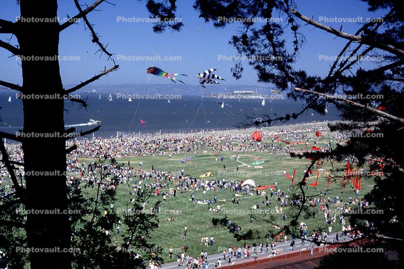 Crowds, People, Field, Opening Day, Crissy Field, Celebration, 6th May 2001