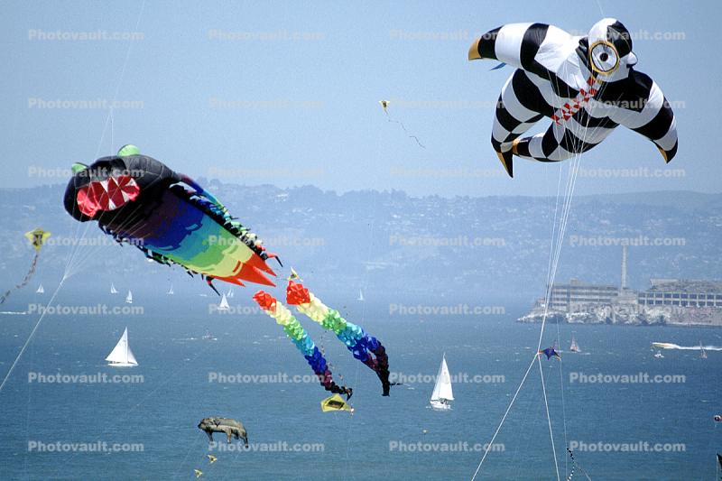 Dragon Kite, Spaceman, Opening Day, Crissy Field, Celebration, May 6 , 2001