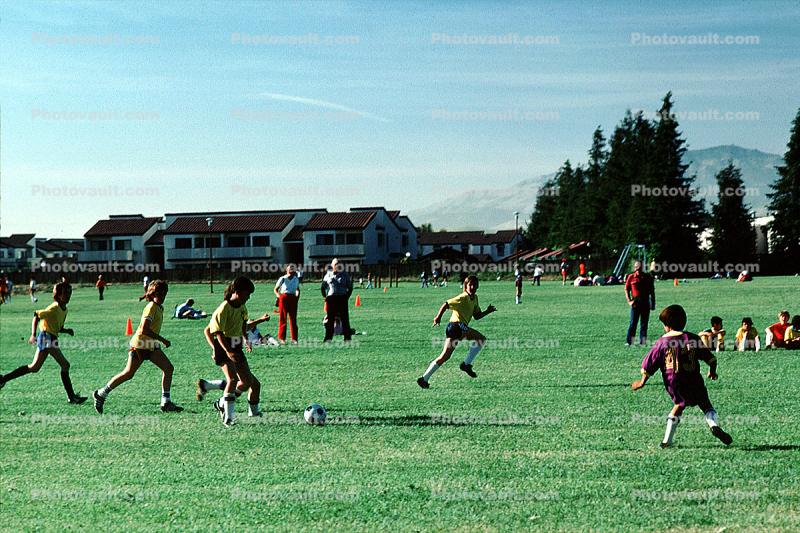 Field, Boys, Running, Playing, Kicking, Soccer Ball
