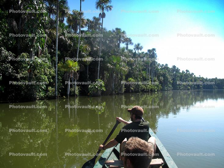 jungle wetlands, canoe