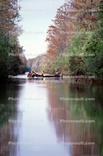 Okeefenokee Swamp, bayou, reflection, wetlands