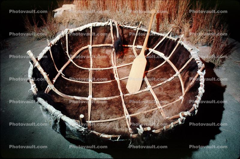 Indian Bull Boat, round, paddle, birch frame, buffalo skin, hide