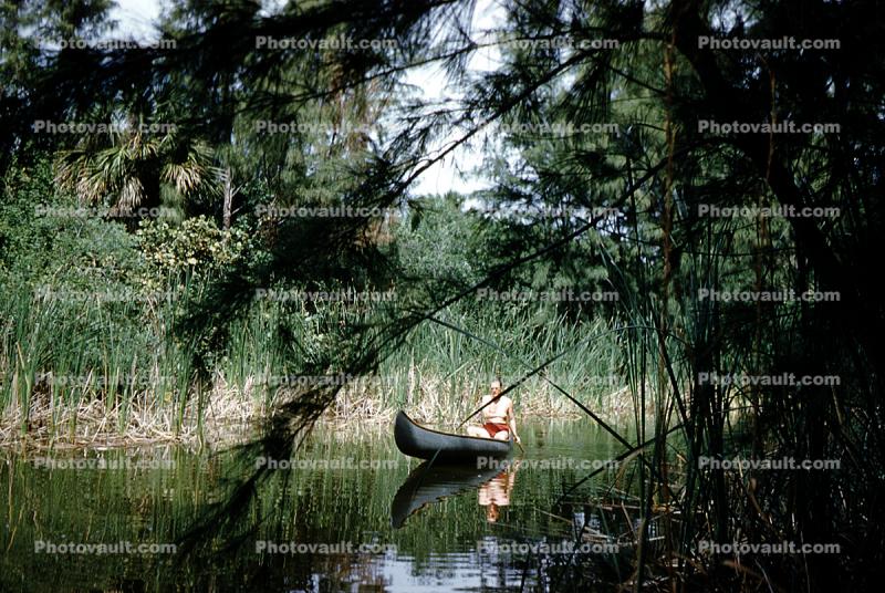 Conoe, lake, reeds