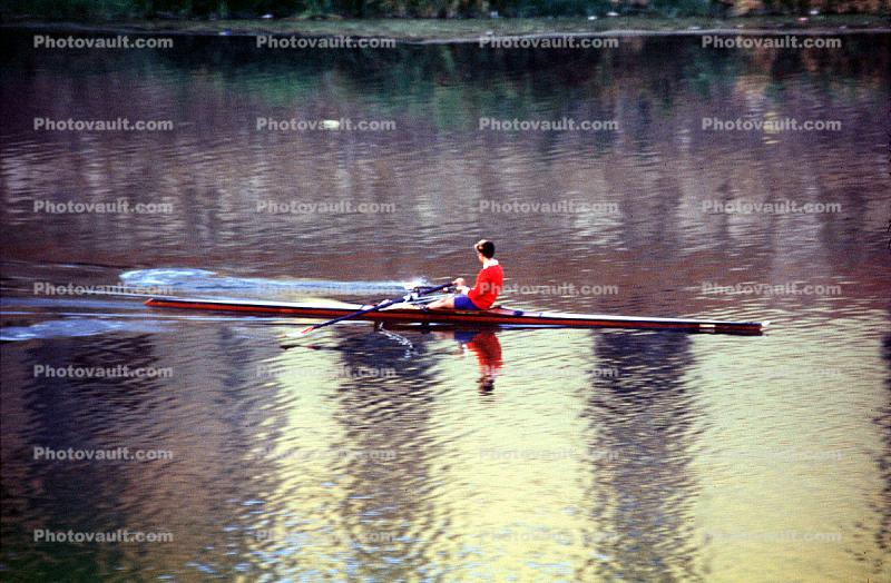 Single Scull, Sculling, Rowing Needle